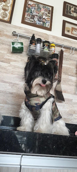 Foto 1 Pet Center Safari