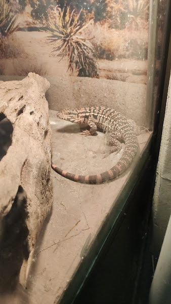 Foto 2 Pet Center Safari