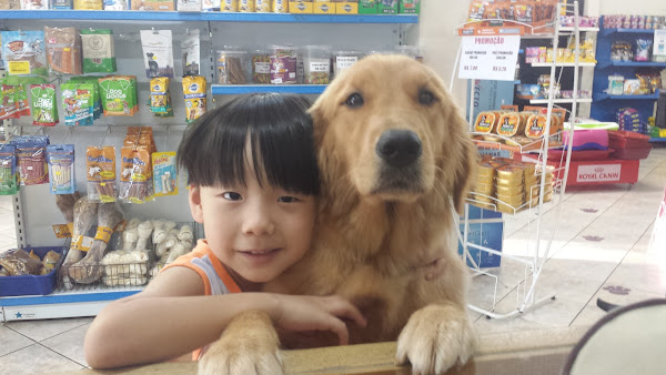 Foto 5 Dog Mania Pet Shop - Comércio de Art. para Caes