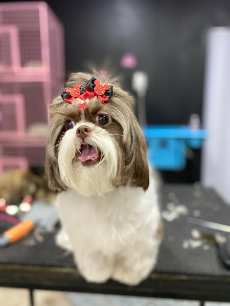 Foto 1 Savana Pet Shop e Clínica Veterinária