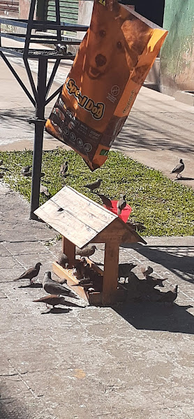 Foto 1 Agropet São José