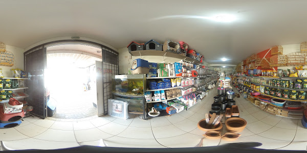 Foto 1 Pet Shop Recanto Animal
