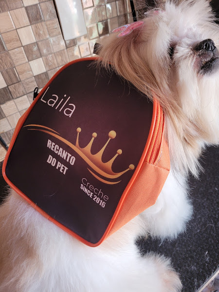 Foto 1 Recanto Do Pet