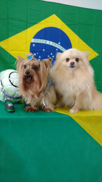 Foto 1 Imperial Pet Shop