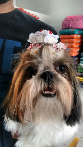 Foto 2 Imperial Pet Shop