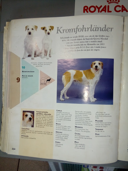 Foto 4 Imperial Pet Shop