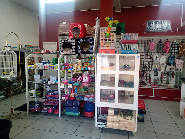 Foto 1 World Pets - Pet shop e Aquarismo