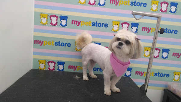 Foto 5 My Pet Store Petshop