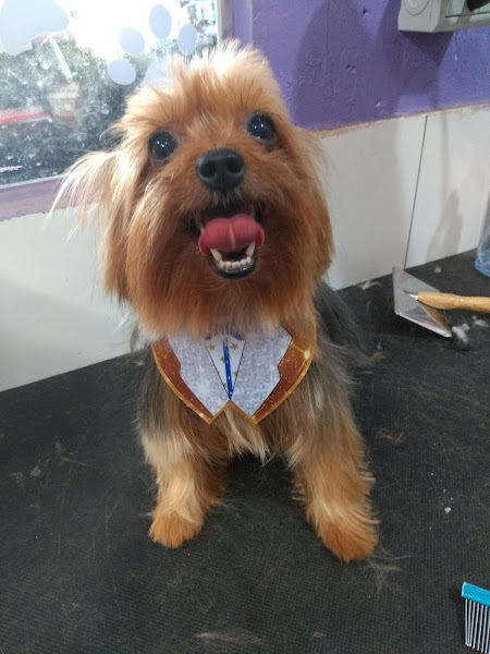 Foto 2 Pet Shop Uau Q Mia