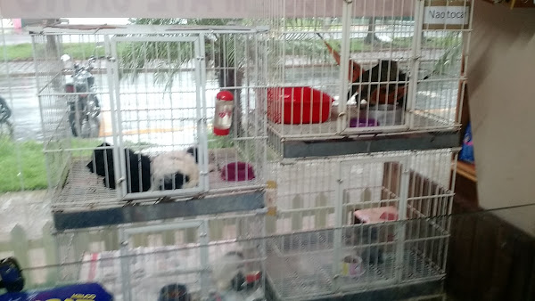 Foto 4 Zoo Loja Pet Shop e Clínica Veterinária.