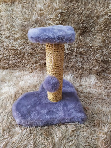 Foto 2 Pet Shop Cãotinho do Focinho Maringá