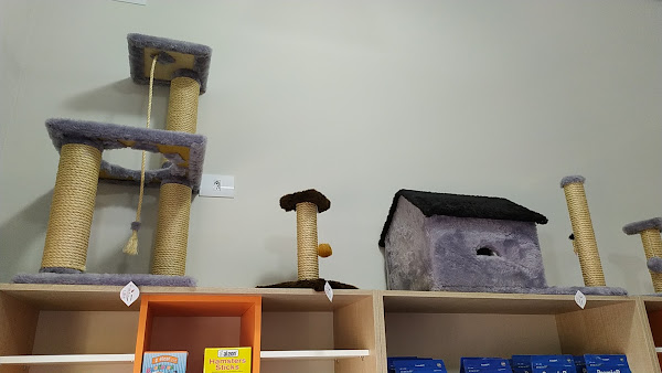 Foto 3 Pet Shop Cãotinho do Focinho Maringá