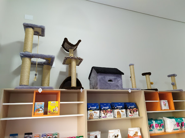 Foto 4 Pet Shop Cãotinho do Focinho Maringá