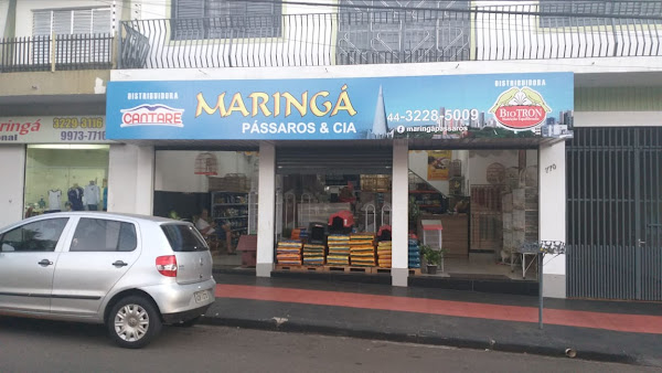 Maringá Pássaros e Cia Maringá Pássaros e Cia