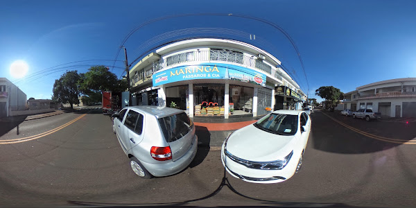 Foto 2 Maringá Pássaros e Cia