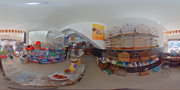 Foto 3 Maringá Pássaros e Cia