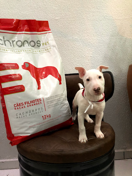 Foto 5 Pet Shop Vida Animal - Unidade Guaiapó