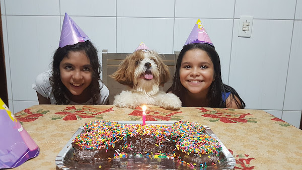 Foto 6 Pet Shop Vida Animal - Unidade Guaiapó