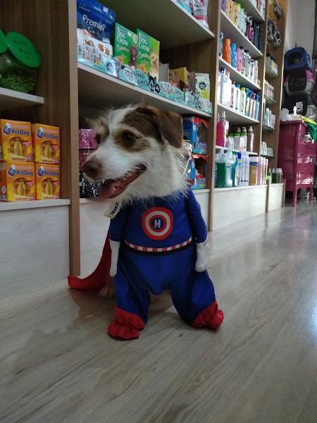 Foto 2 Pet Shop da Vivi