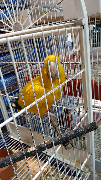 Foto 1 Eco Center Pet