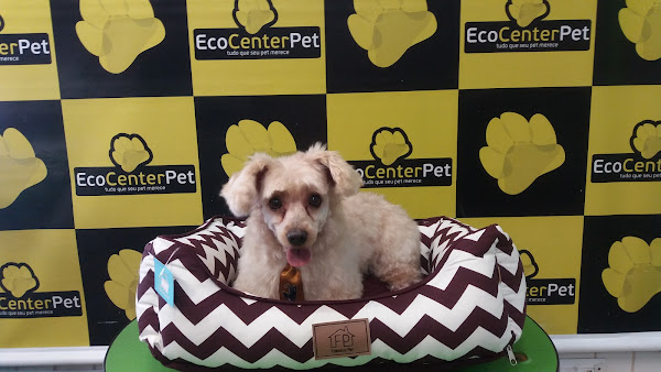 Foto 5 Eco Center Pet