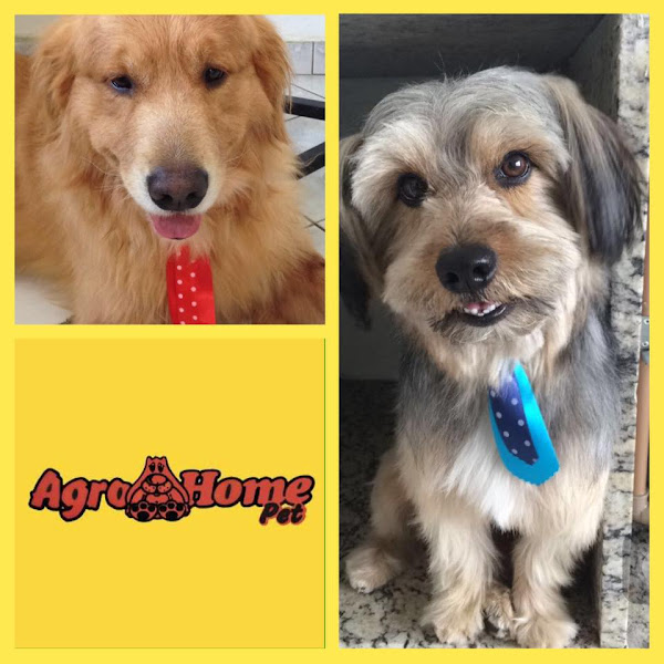 Foto 1 Agro Home Pet