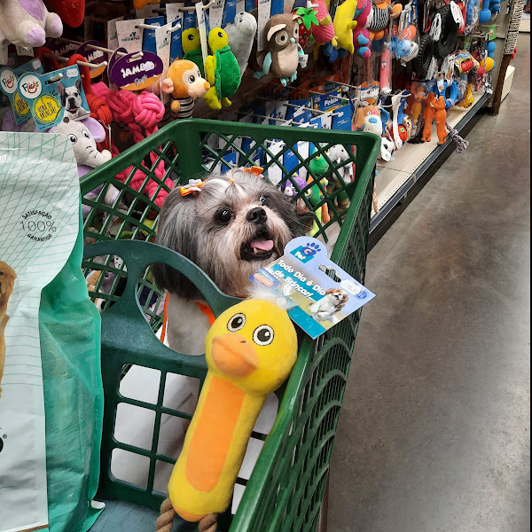 Foto 1 Cobasi Campinas Amoreiras