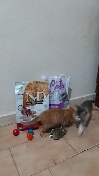 Foto 4 PetCamp Foto 4 PetCamp