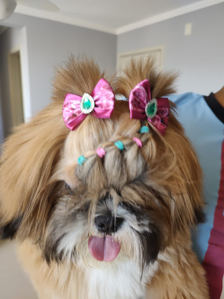 Foto 2 Pet Shop Oliveira