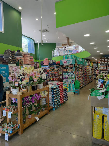 Foto 3 Cobasi Campinas Cambuí II