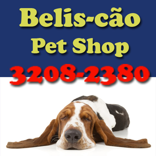 Belis-Cão PetShop