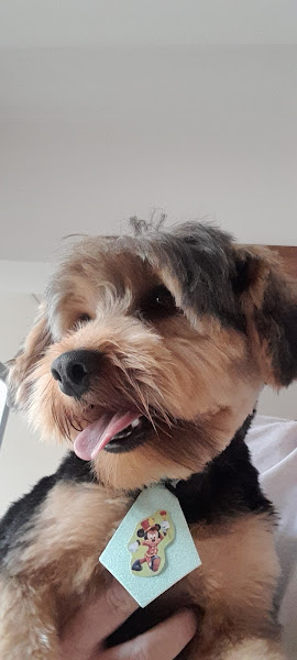 Banho E Tosa Maria e Marcelo