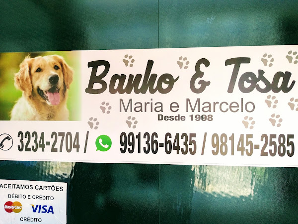 Foto 2 Banho E Tosa Maria e Marcelo