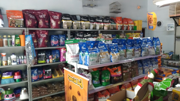 Foto 1 PET SHOP BICHOS E MIMOS.CÃO