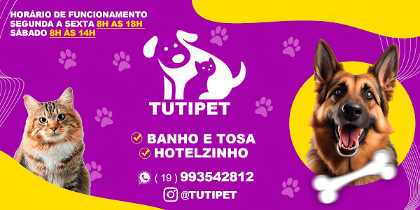 Foto 3 CãoPania Foto 3 CãoPania