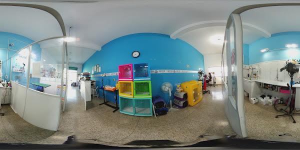 Foto 1 Baby Dog Pet Shop Campinas