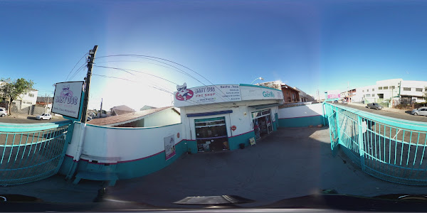 Foto 2 Baby Dog Pet Shop Campinas