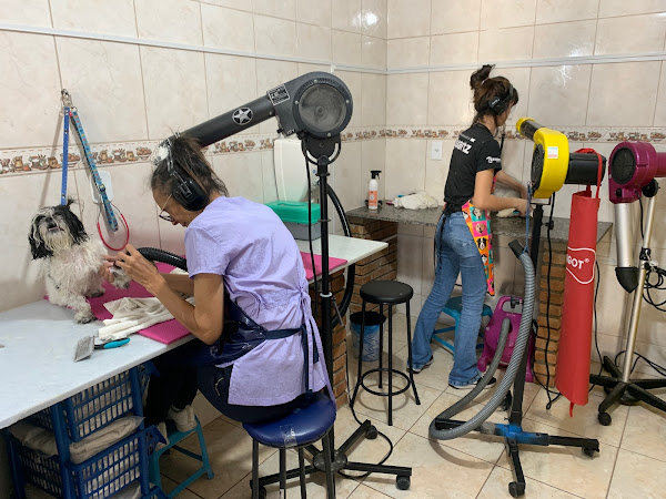 Foto 3 Baby Dog Pet Shop Campinas