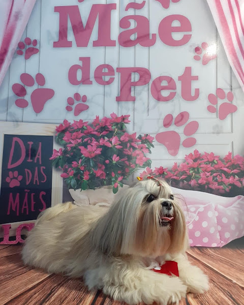 Foto 4 Baby Dog Pet Shop Campinas