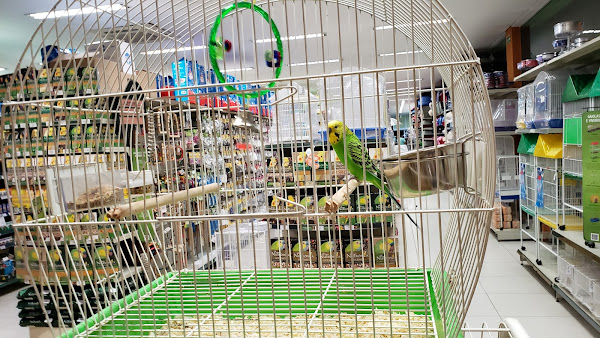 Foto 1 Cobasi Campinas Cambuí