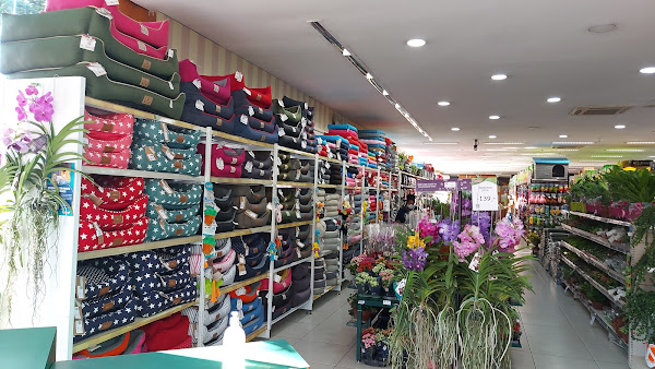 Foto 2 Cobasi Campinas Cambuí