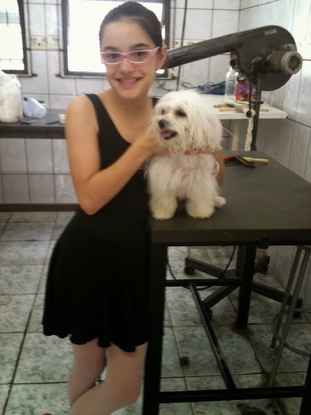 Foto 1 Dog Shower Pet Shop