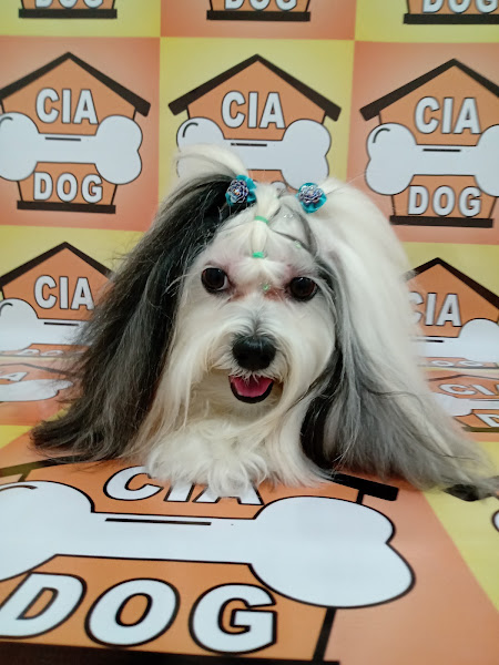 Cia Dog Estética Canina e Felina Cia Dog Estética Canina e Felina