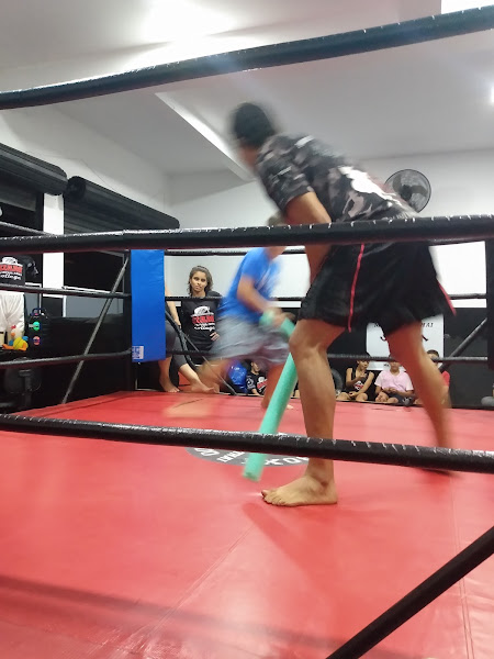 Maringá Motor Oficina