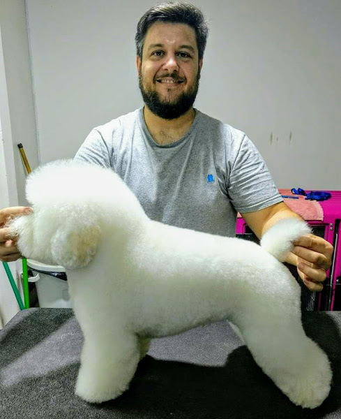 Foto 1 Boutique do Animal - Pet Shop