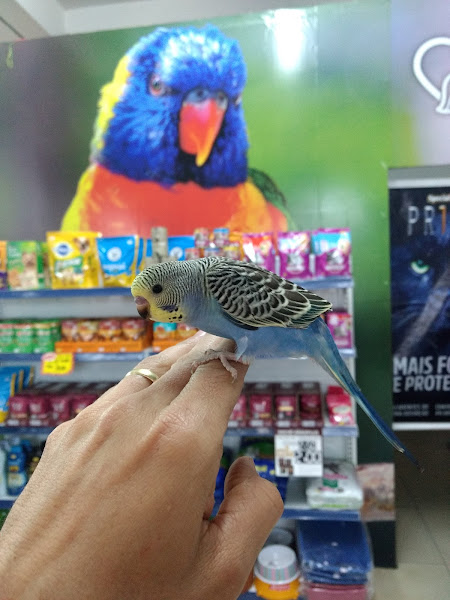 Foto 1 Mister Animal Pet Shop