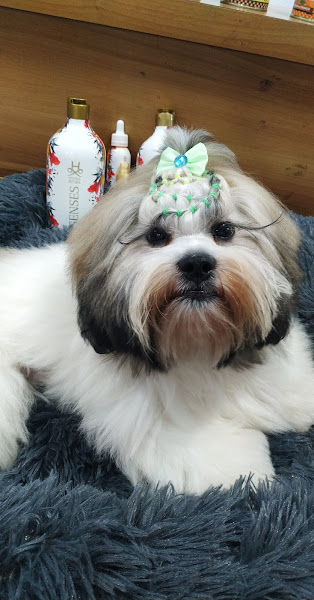 Foto 2 Pet Shop Toca do Bicho - Centro