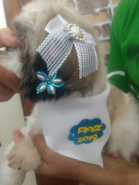 Foto 1 Pet Shop Banho e Tosa Santa Rita