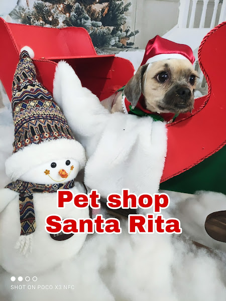 Foto 3 Pet Shop Banho e Tosa Santa Rita