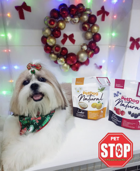 Foto 4 Pet Stop Foto 4 Pet Stop